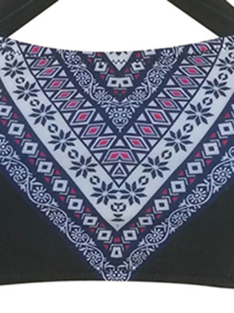 Dam Print Color Block Color Block Tankini